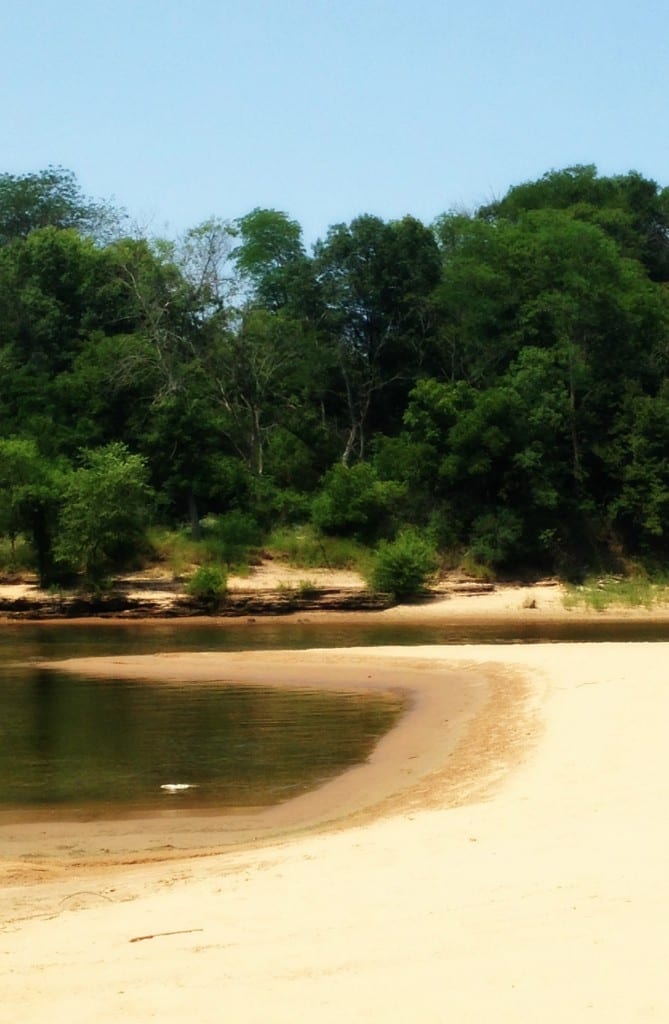 dells 3