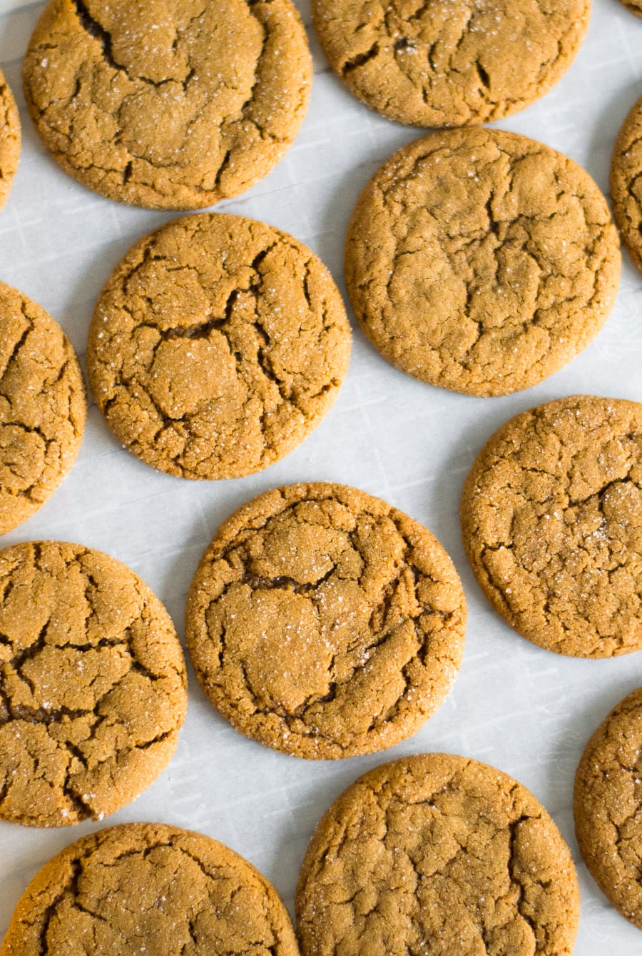Ginger Molasses Cookies | Sarcastic Cooking
